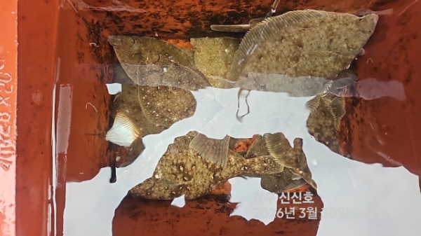 신신낚시 강구점 신신호_사진_20260330_6.jpg