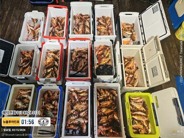 2026-02-15 01.56.11__(제목-뉴블루마린호)_(예약전화 010 8924 3131).jpg