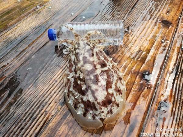 3월29일심해갑 (17).jpg