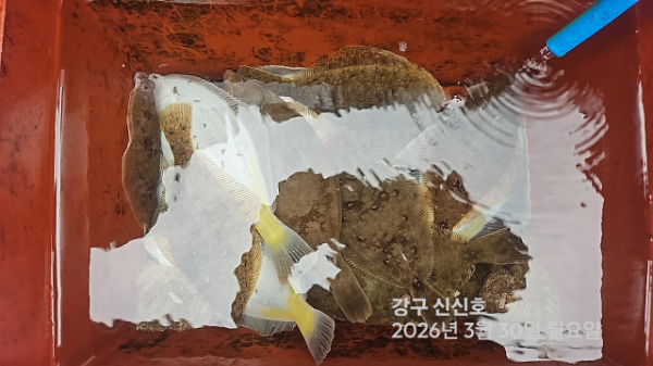 신신낚시 강구점 신신호_사진_20260330_5.jpg