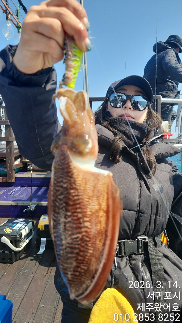 제주왔어호_사진_20260315_2.jpg