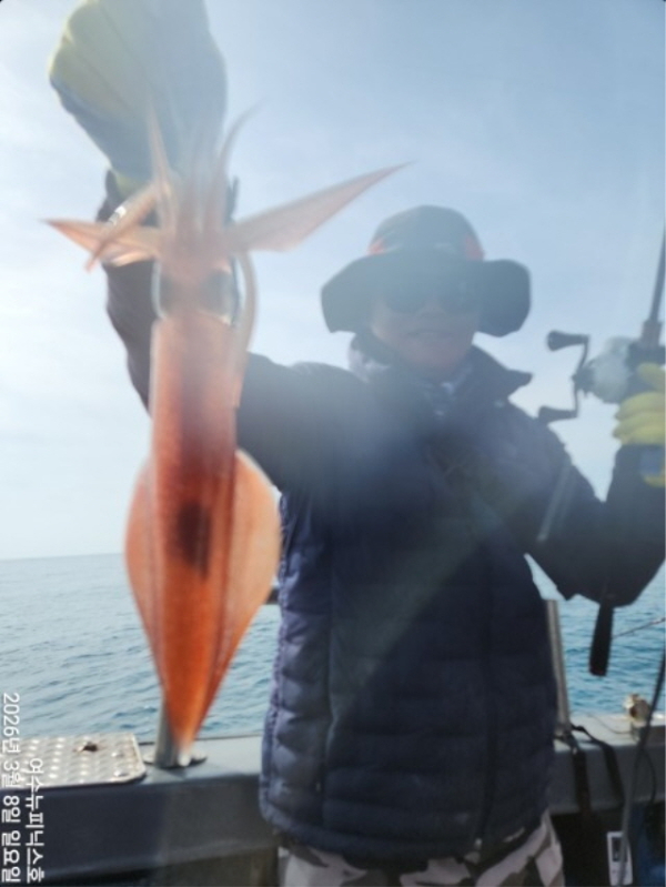 3월8일갑이한치 (2).jpg