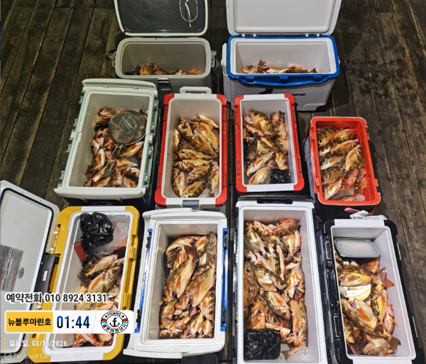 2026-03-15 01.44.07__(제목-뉴블루마린호)_(예약전화 010 8924 3131).jpg