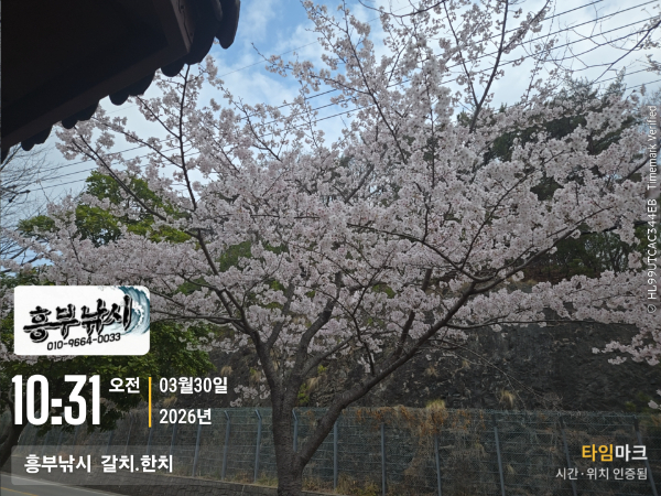 2026-03-30 10.31.30__(-흥부낚시  갈치.한치).jpg