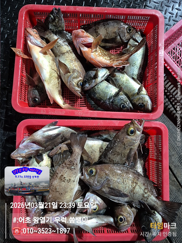 2026-03-21 23.39.35__(#-어초 왕열기.우럭.쏨뱅이)_(-010~3523~1897).jpg