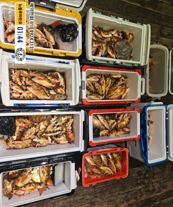 2026-03-15 01.44.33__(제목-뉴블루마린호)_(예약전화 010 8924 3131).jpg