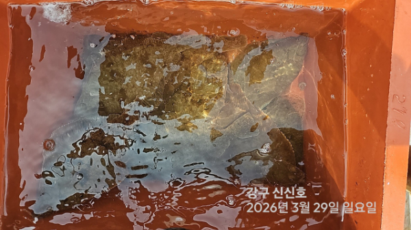 신신낚시 강구점 신신호_사진_20260329_12.jpg