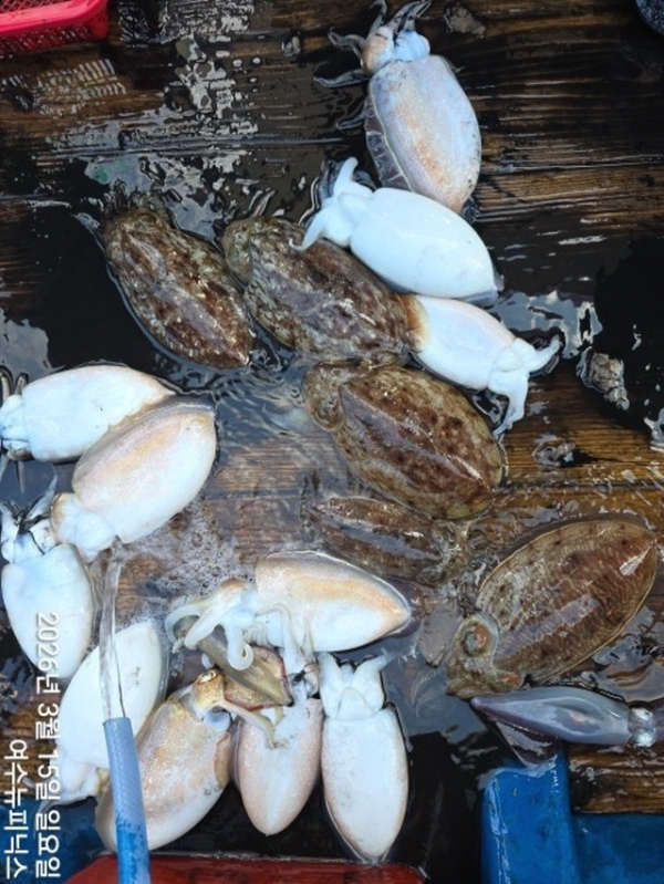 2093월15일심해갑 (21)-vert.jpg