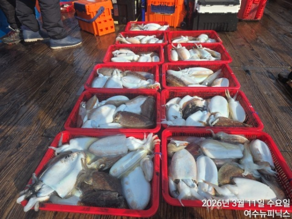 3월11일심해갑 (57).jpg