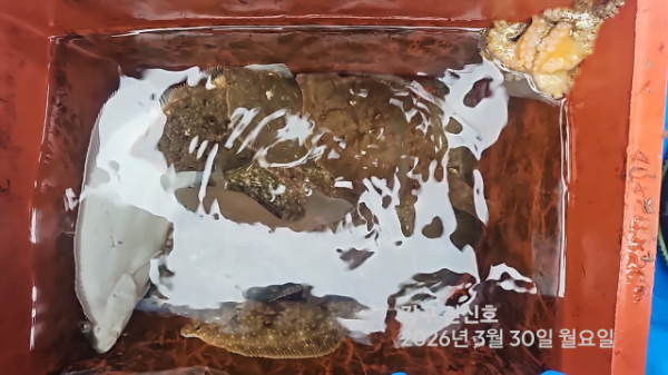 신신낚시 강구점 신신호_사진_20260330_14.jpg