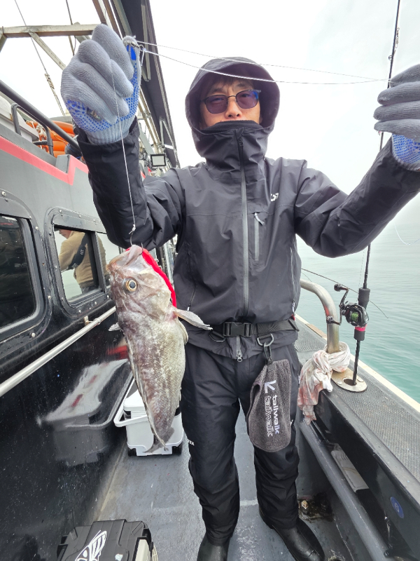 ꫛꫀꪝ✧‧˚ 태안 마검포 新출항호 .• _˚☀₊_사진_20260314_6.jpg