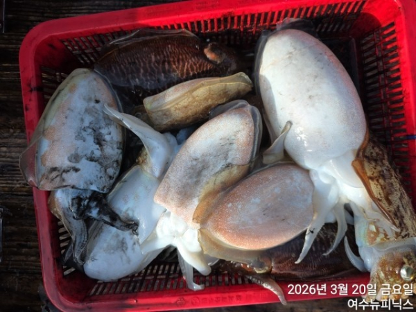 3월20일심해갑 (7).jpg