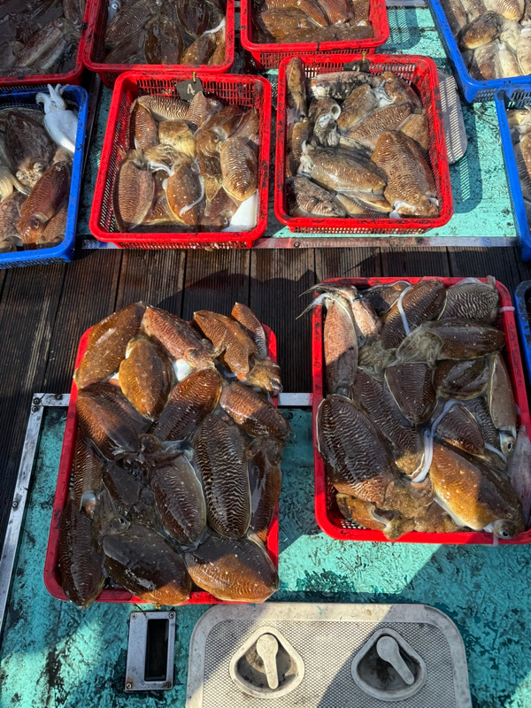 제주 쏘니호_사진_20260309_16.jpg