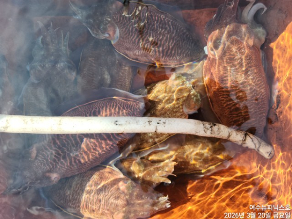 3월20일심해갑 (27).jpg