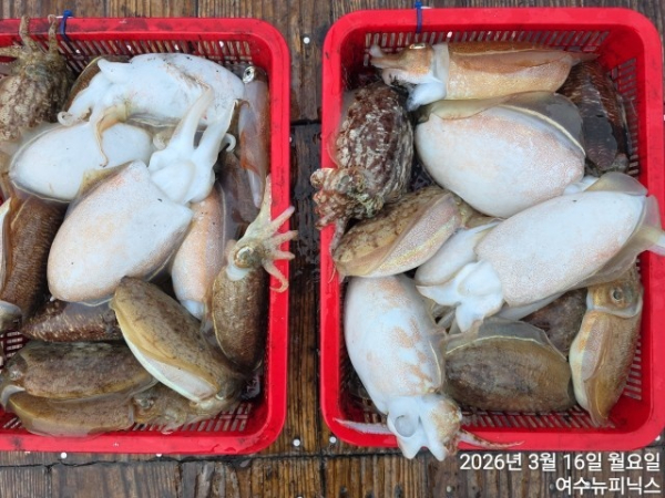 3월16일심해갑 (7).jpg