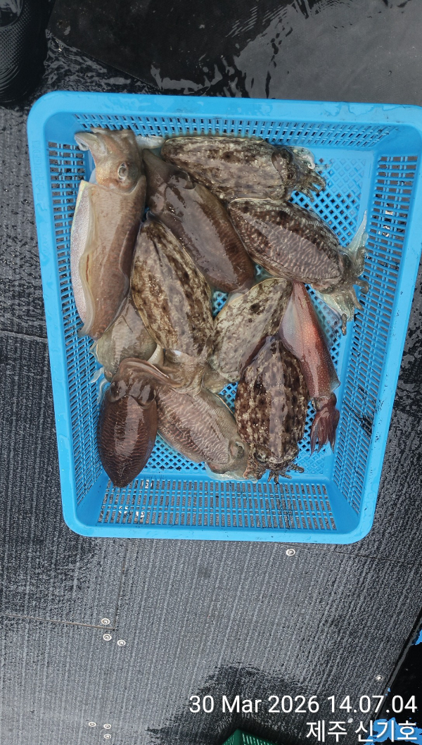 KakaoTalk_20260330_185548287_06.jpg
