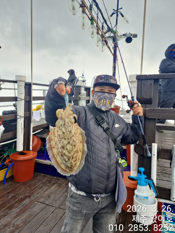제주왔어호_사진_20260327_16.jpg
