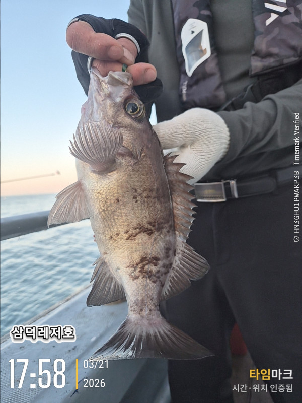 2026-03-21 17.58.26_.jpg