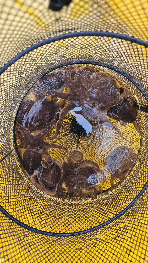 오천항 가즈아호_사진_20260330_13.jpg