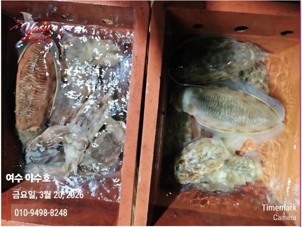 Screenshot_20260324_082331_Samsung Internet.jpg