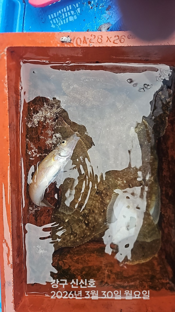 신신낚시 강구점 신신호_사진_20260330_9.jpg