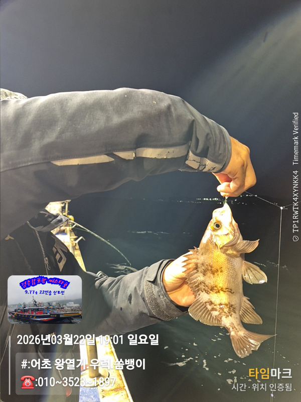 2026-03-22 19.01.59__(#-어초 왕열기.우럭.쏨뱅이)_(-010~3523~1897).jpg