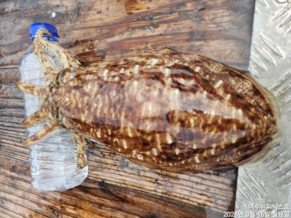 3월16일심해갑 (26).jpg