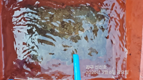 신신낚시 강구점 신신호_사진_20260306_19.jpg