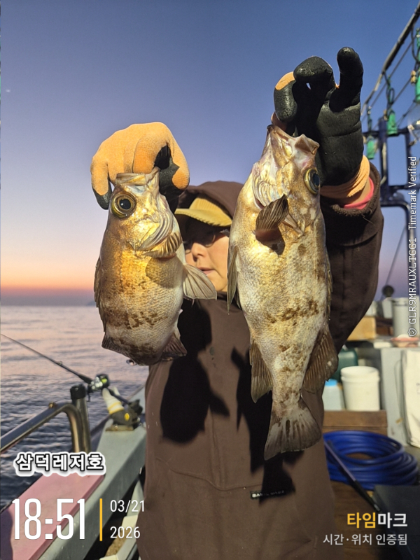 2026-03-21 18.51.46_.jpg