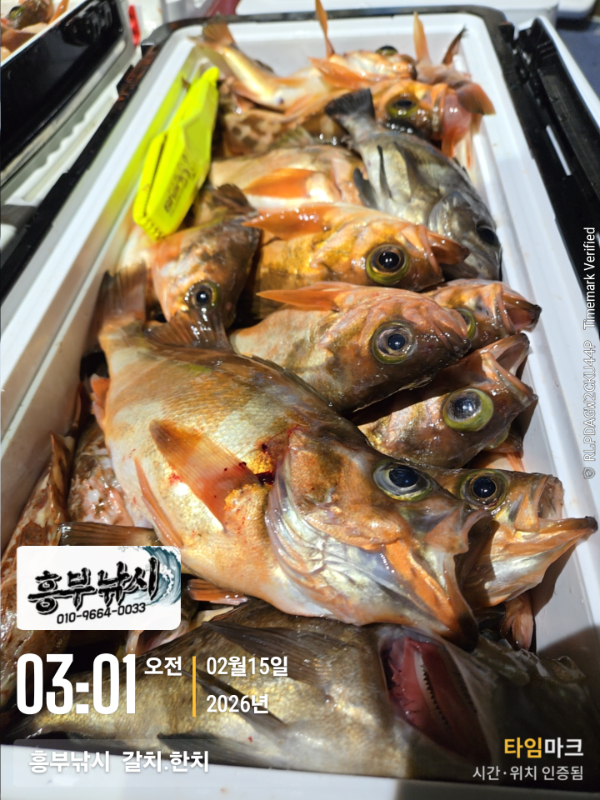 2026-02-15 03.01.43__(-흥부낚시  갈치.한치).jpg