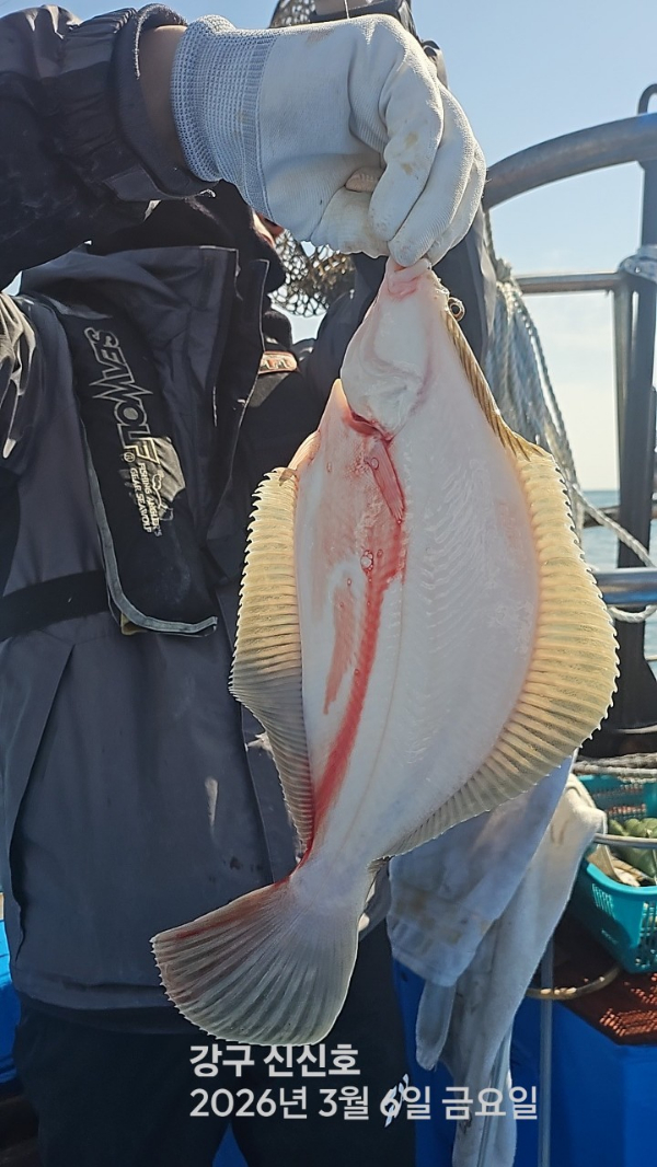 신신낚시 강구점 신신호_사진_20260306_12.jpg
