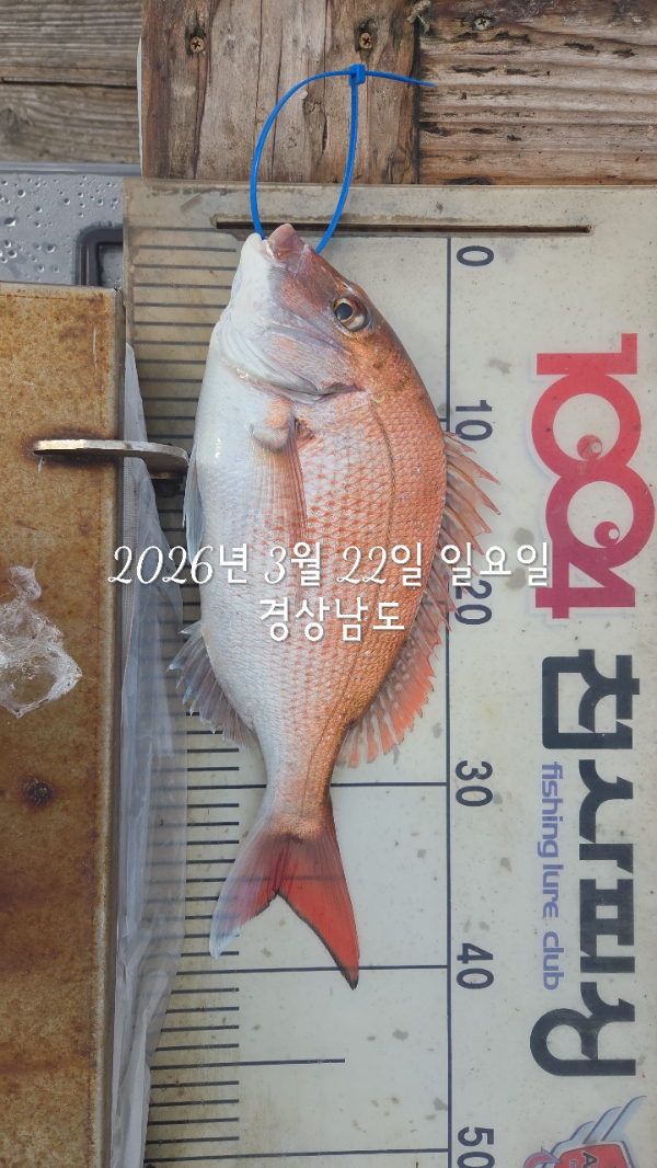 1004피싱_사진_20260322_5.jpg