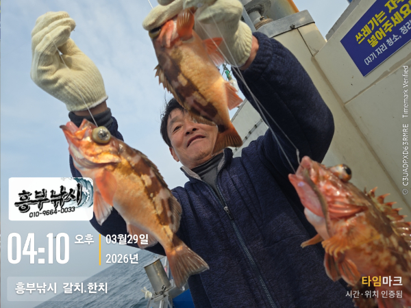 2026-03-29 04.10.17__(-흥부낚시  갈치.한치).jpg