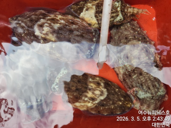 3월5일심해갑 (18).jpg