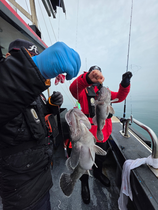 ꫛꫀꪝ✧‧˚ 태안 마검포 新출항호 .• _˚☀₊_사진_20260314_8.jpg