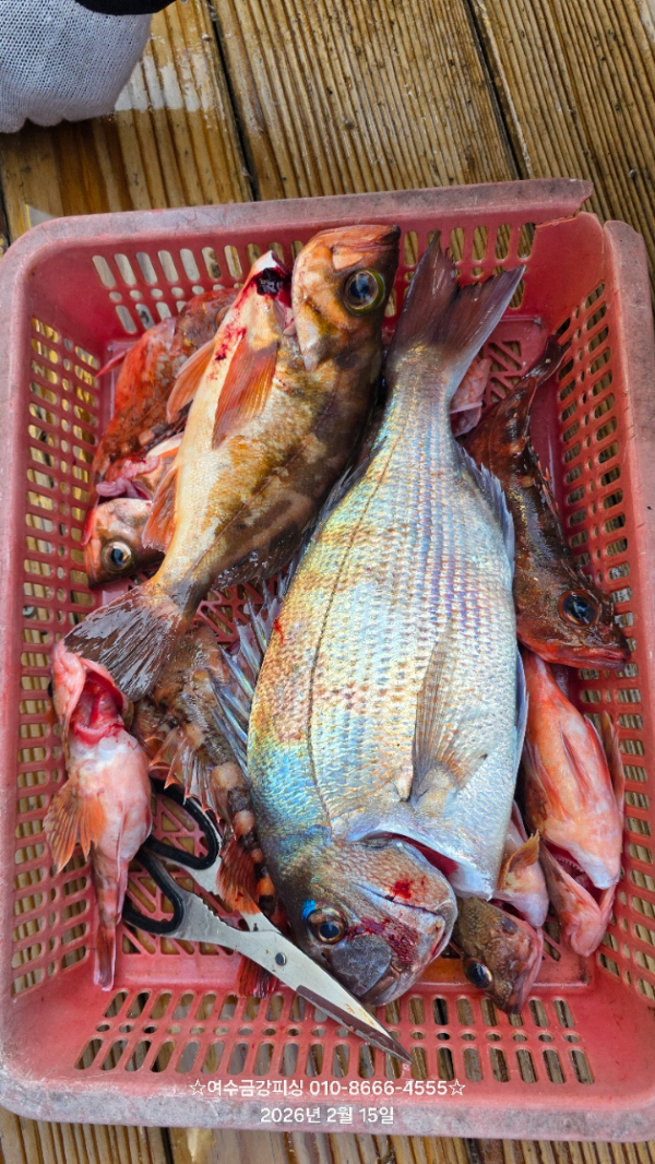 여수금강피싱_사진_20260309_1.jpg