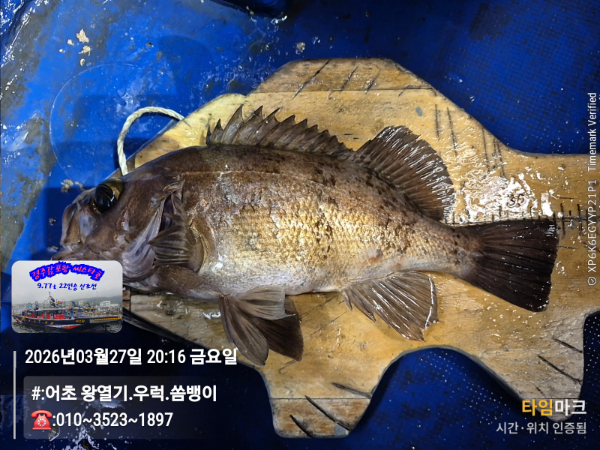 2026-03-27 20.16.04__(#-어초 왕열기.우럭.쏨뱅이)_(-010~3523~1897).jpg