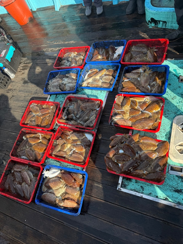 제주 쏘니호_사진_20260309_15.jpg