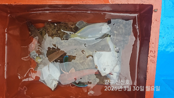 신신낚시 강구점 신신호_사진_20260330_15.jpg