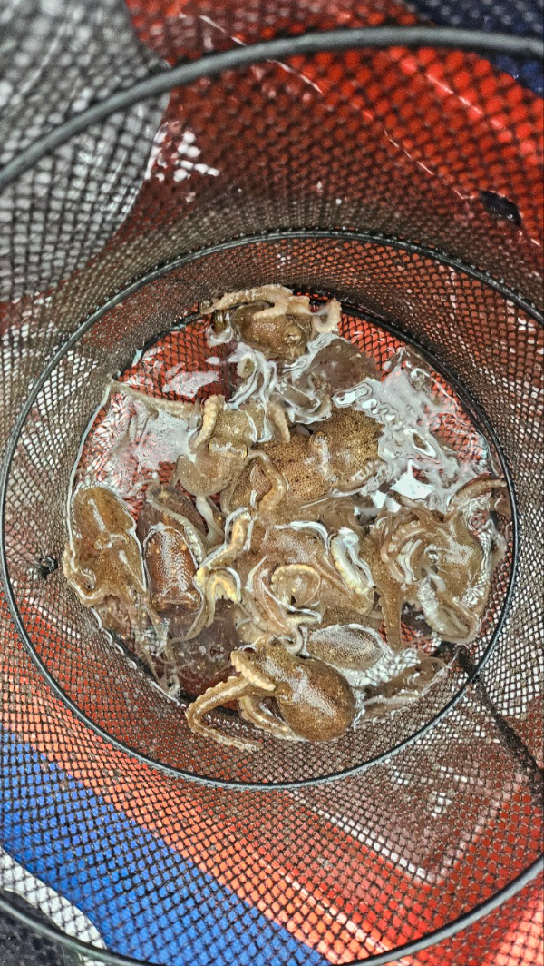 오천항 가즈아호_사진_20260330_16.jpg