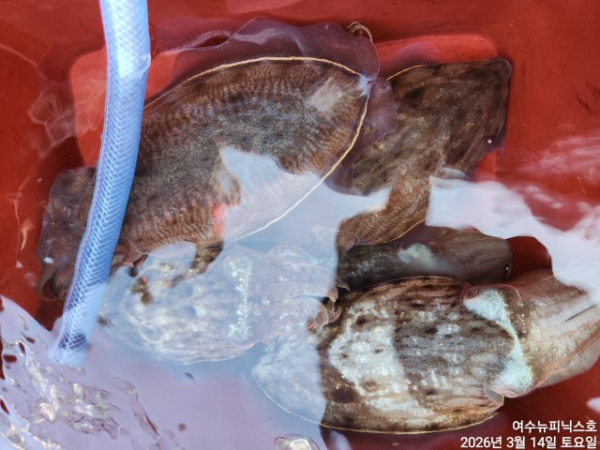 3월14일심해갑 (33).jpg