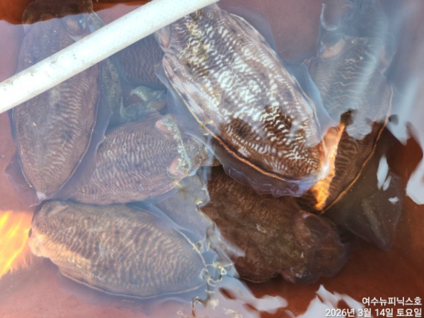 3월14일심해갑 (35).jpg