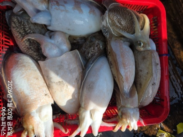 3월20일심해갑 (13)-vert.jpg