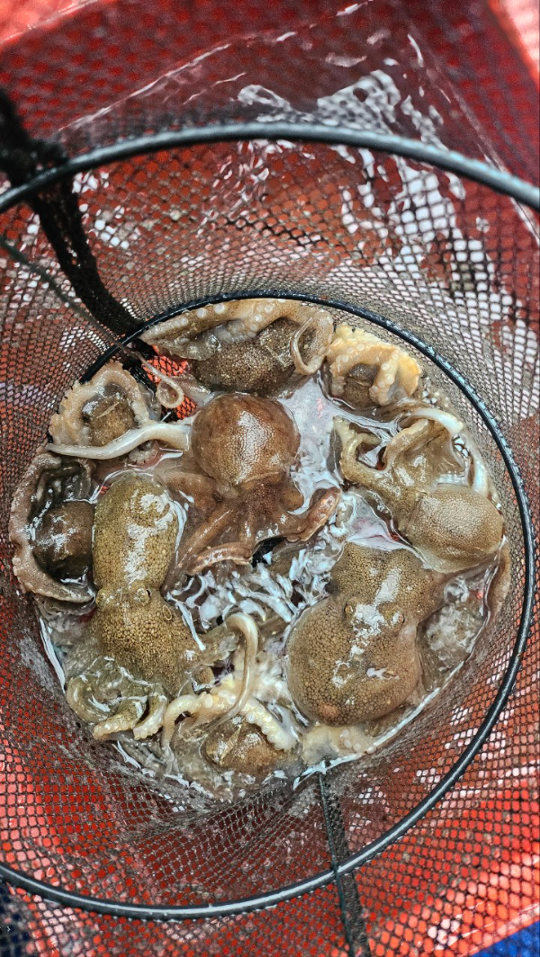 오천항 가즈아호_사진_20260330_15.jpg