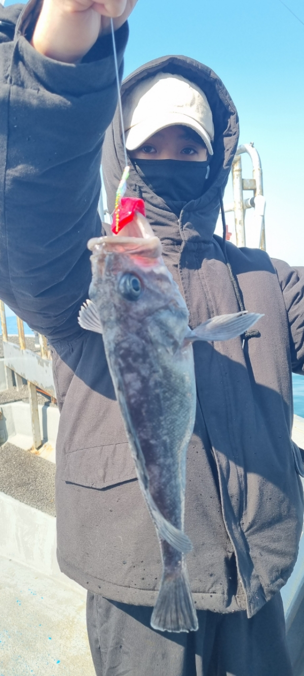 안산 포세이돈호_사진_20260314_6.jpg