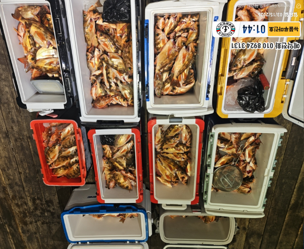 2026-03-15 01.44.31__(제목-뉴블루마린호)_(예약전화 010 8924 3131).jpg