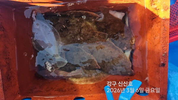 신신낚시 강구점 신신호_사진_20260306_18.jpg