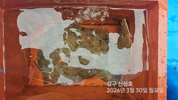 신신낚시 강구점 신신호_사진_20260330_16.jpg