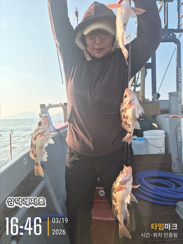 2026-03-19 16.46.45_.jpg