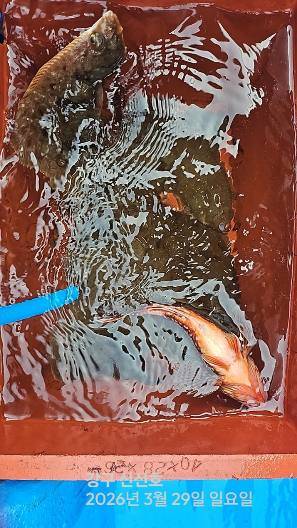 신신낚시 강구점 신신호_사진_20260329_17.jpg